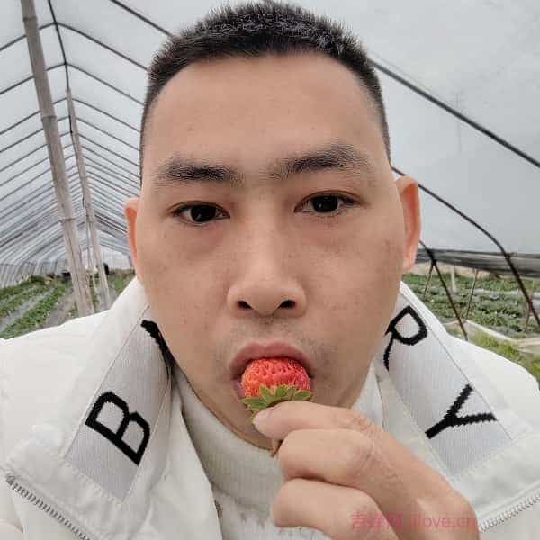 38岁岁贵州单身帅哥 - 红河吉缘网