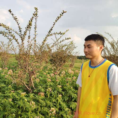 37岁岁广东单身帅哥 - 红河吉缘网